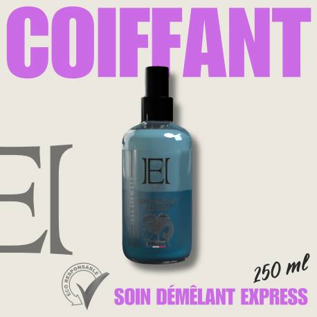 Coif'Style SOIN DÉMÊLANT EXPRESS